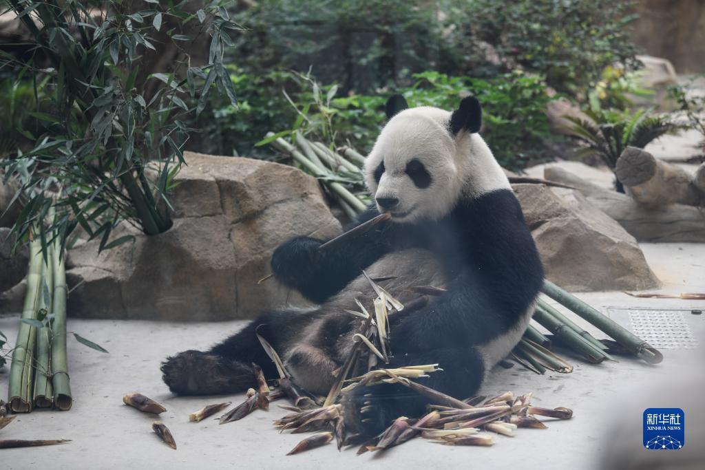 能赚钱捕鱼